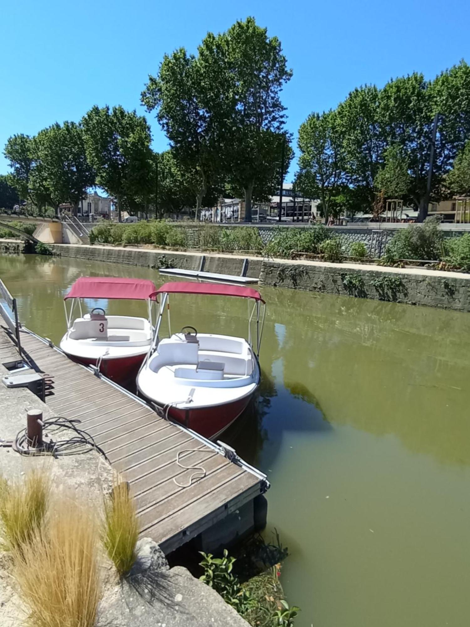 Camping A Port La Nouvelle Eksteriør billede